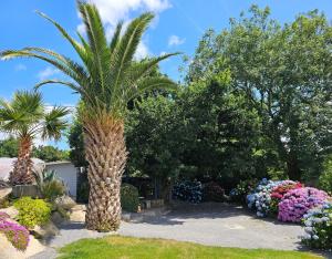 Appartements Bretagne FeWo Menhir fur 2 Personen, no Kids : photos des chambres