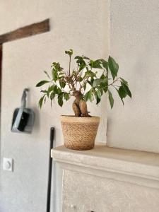B&B / Chambres d'hotes Voila Le Logat - Chambres & Gites : photos des chambres
