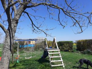 B&B / Chambres d'hotes la grange aux hirondelles : photos des chambres