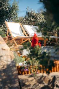Casa Vacanze
