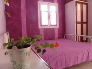 Aiolos Rooms Lefkada Greece