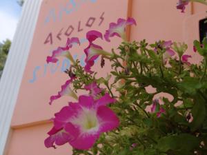 Aiolos Rooms Lefkada Greece