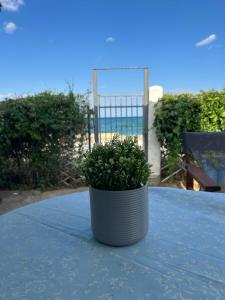 Coni and Dim HOUSE