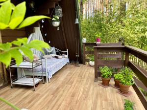 House in the forest in Podlasie