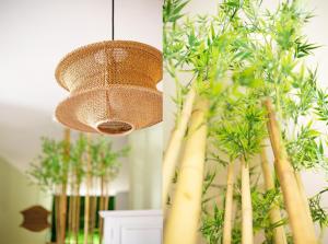 Otium Old Town Boutique