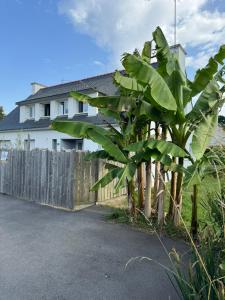 Appartements La Croix de Kerbigot - Guidel plage : photos des chambres