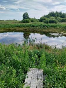 Relax by lake at Warmian-Masurian Holiday home