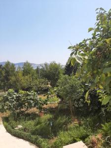 Бар Шушань Апартаменты Главановича 25