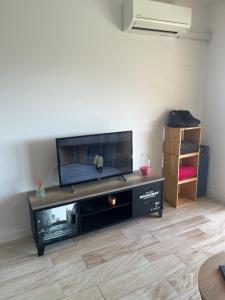 SUPERBE APPARTEMENT FACE AUX ILES SANGUINAIRES