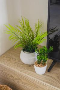 Mountain View, 3 Bedrooms, Garden View