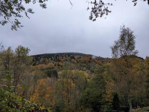 Appartements Perce-neige : photos des chambres