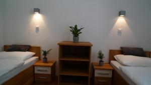 Snežnik castle estate 