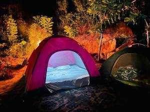 Cindrella Sky Nest Camp Ella