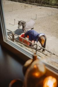 Hotel Restaurant Dn Dries