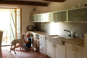 Villas Maison Provencal de Charme : photos des chambres