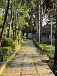 Tranquil Private Villa Bengaluru - Melody