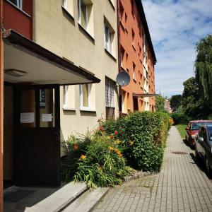 Stay in Żabi Kruk