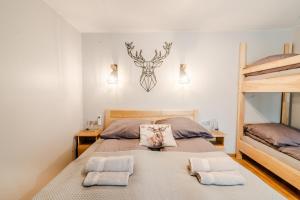 Apartamenty u Polowacy