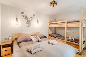 Apartamenty u Polowacy