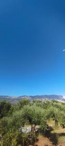 Alexander apartment 3