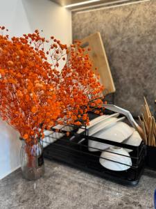 LazyLis H1 Masterise OCP1 washing machine 2beds