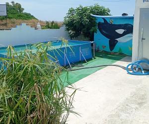 Casa del abuelo trujillo 2