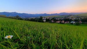 Chata Efatha- holiday home in Liptov