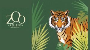 Le Gresset Entre Calme Et Centre DAmiens