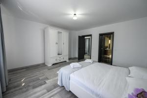 Casa Timiș