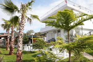 3 Palms Villa