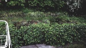 ERDŐALJA Vendégház