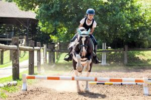 Penzion Horse Farm Lechovice