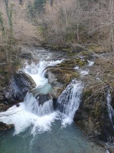 Appartements victoria : photos des chambres
