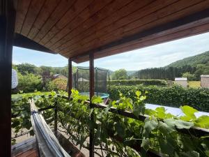 Le Mont Céleste dogs friendly