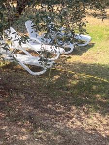 Villa Celestina, a 10 minuti dalle Terme