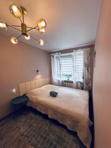 SMART flat - Ranna 49