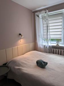 SMART flat - Ranna 49