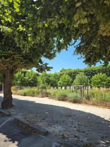 Appartements Maison de ville proche Halles : photos des chambres