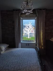 Istrabella Apartment