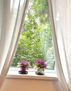 Cozy Apartment Floreasca