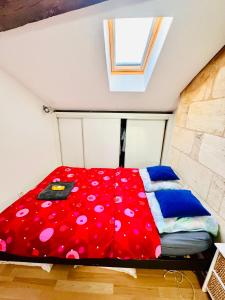 Appartements spacieux T3 hyper centre : photos des chambres