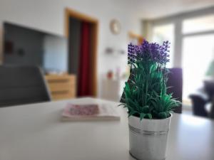 MichaElas-Klee Hahnenklee