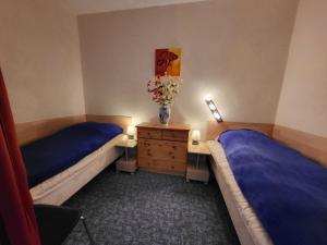 MichaElas-Klee Hahnenklee