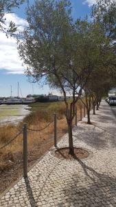 Estrelinha da Fuzeta