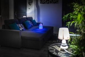 Appartements Golbey Evasion Appartement avec terrasse suspendue : photos des chambres