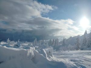 Koča Velika Planina - Chalet Kamrica