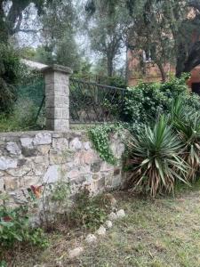 Appartements Eze village bas de villa jardin vue mer : photos des chambres