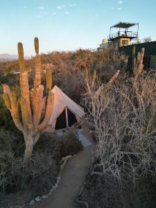 Libra Eco-Adventure Hostel