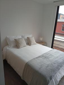 Beautiful loft in Movistar Arena and Galerías