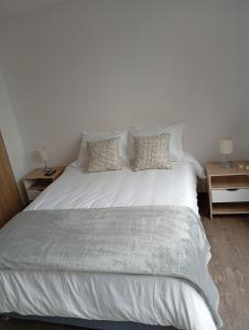 Beautiful loft in Movistar Arena and Galerías